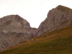 2013-09-08_6Falkenh-Steinfalk (249).JPG